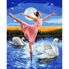 paint by numbers kit Ballet Dancer Series N3