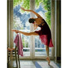 paint by numbers kit Ballet Dancer Series N5