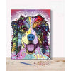 paint by numbers kit Berneese Mountain Dog