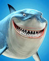 paint by numbers kit Blue Shark