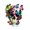 paint by numbers kit Butterfly & Skull