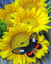 paint by numbers kit Butterfly and Sunflowers - Custom paint by number