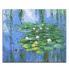 paint by numbers kit Claude Monet 5