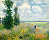 paint by numbers kit Claude Monet Poppy Field - Custom paint by number