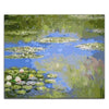 paint by numbers kit Claude Monet Water Lilies