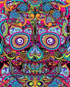 paint by numbers kit Colorful Skull - Custom paint by number
