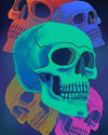 paint by numbers kit Colorful Skulls - Custom paint by number