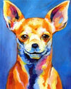paint by numbers kit Coloured Chihuahua