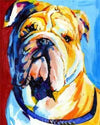 paint by numbers kit Coloured English BullDog