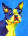 paint by numbers kit Coloured Frenchie
