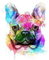 paint by numbers kit Colourful Frenchie 3