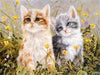 paint by numbers kit Cool Cats 1