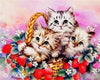 paint by numbers kit Cute Cats 15