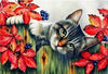 paint by numbers kit Cute Cats 16