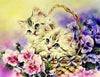 paint by numbers kit Cute Cats 4