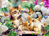 paint by numbers kit Cute Cats 7