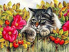 paint by numbers kit Cute Cats 9