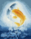paint by numbers kit Cyprinoid Fish