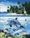 paint by numbers kit Dolphin Near The Beach