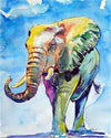 paint by numbers kit Elephant Colourful 3