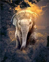 paint by numbers kit Elephant Series 13