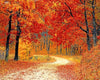 paint by numbers kit Fall Red Forest - Custom paint by number