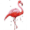 paint by numbers kit Flamingo 13