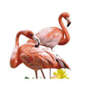 paint by numbers kit Flamingo 19