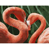 paint by numbers kit Flamingo 20
