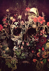 paint by numbers kit Flowering Skull - Custom paint by number