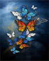 paint by numbers kit Galaxy Butterflies - Custom paint by number
