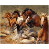 paint by numbers kit Galoping horses