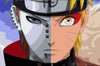 paint by numbers kit Half Paine Half Naruto