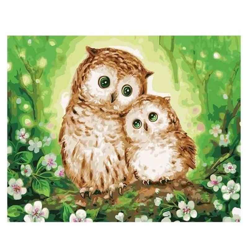 paint by numbers kit Hoot hootie Premium Paint by numbers online