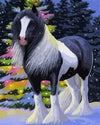 paint by numbers kit Horse 11