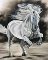 paint by numbers kit Horse 17