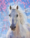 paint by numbers kit Horse 24