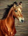 paint by numbers kit Horse 25