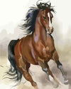 paint by numbers kit Horse 26