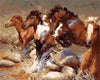 paint by numbers kit Horses 5