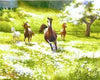 paint by numbers kit Horses 6