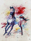 paint by numbers kit Horses Splash 1