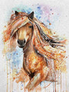 paint by numbers kit Horses Splash 11