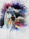 paint by numbers kit Horses Splash 3