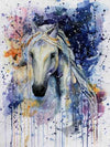 paint by numbers kit Horses Splash 5