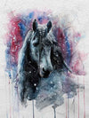 paint by numbers kit Horses Splash 7