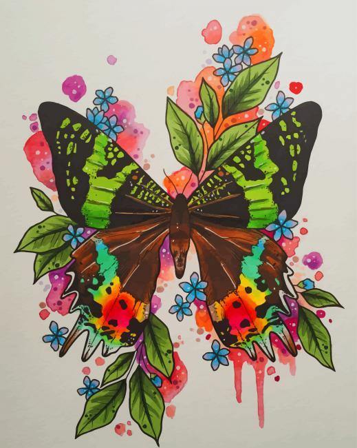 paint by numbers kit Illustration Butterfly Art