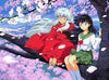 paint by numbers kit Inuyasha