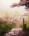 paint by numbers kit Japanese Cherry Blossom Gardens