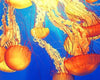 paint by numbers kit Jellyfish Illustrations